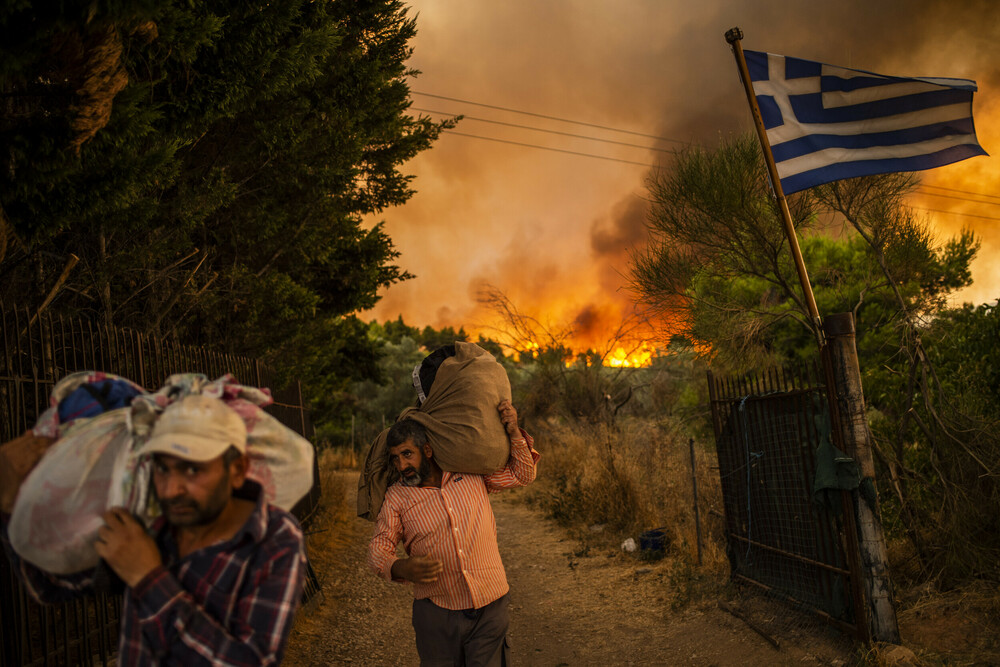 Read more about the article Požari na Mediteranu  i priča o piromanu koji je zapalio 450.000 drveta Mastike